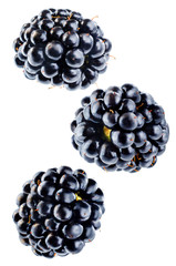 Blackberry on a white isolated background