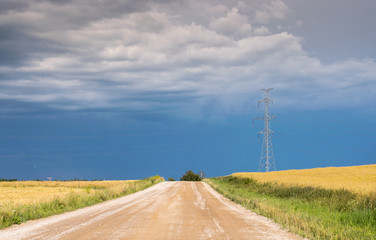 Fototapeta na wymiar Rural dirt road along the picturesque yellow fields before the rain.