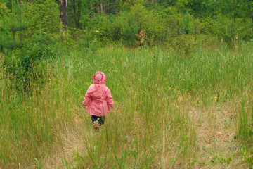 small child walking alone in the forest