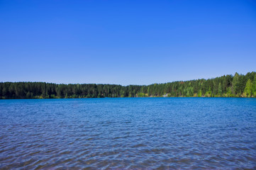 Summer landscape on the shore of a forest lake with clear transparent blue water.