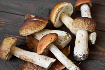 Cep mushrooms. Boletus oak leaves and acorns on the wooden surface. Autumn template.