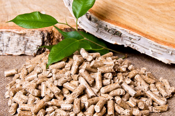 Wood pellets, birch and twig with leaves. Biomass Pellets- cheap energy. The concept of biofuel...