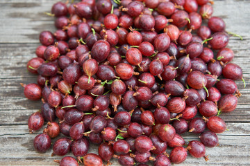 Close up picture of red riped gooseberries on the vintage wooden table. Goosebery is seasonal summer fruit, sweet and sour, juicy and tasty growing mainly in home gardensin organic gardening system.