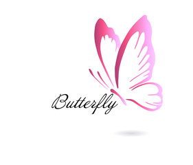 A butterfly logo made of patterns. Vector illustration
