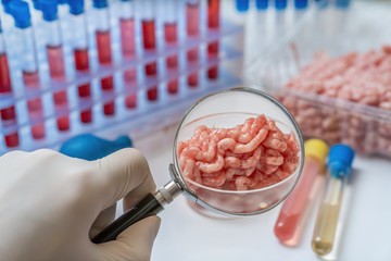 Scientist is testing and inspecting meat for germs. Food quality