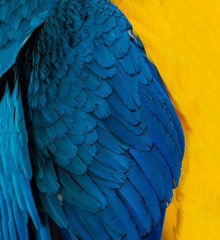 Obraz premium abstract background