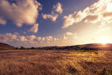 Fototapeta na wymiar A meadow with blue sky as background, Sintra, Portugal
