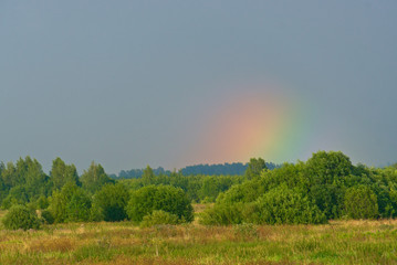 Meadows and forest on a cloudy July day. Kostroma region, Russia.