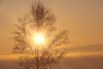 Beautiful winter landscape