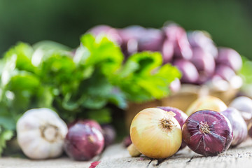 Red onion in bronze bowl garlic celery herbs and kohlrabi on garden table - Top of view. Close-up...
