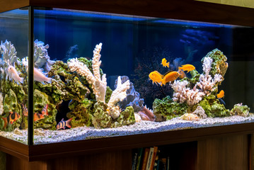  Aquarium Products