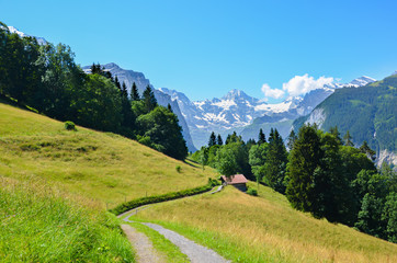 Fototapeta na wymiar Alpine path in the hills near Lauterbrunnen in Swiss Alps. The way is leading to small mountain chalet. Photographed in summer season. Green landscape. Mountains in background