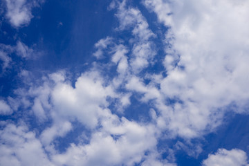 clear blue sky with plain white cloud with space for text background