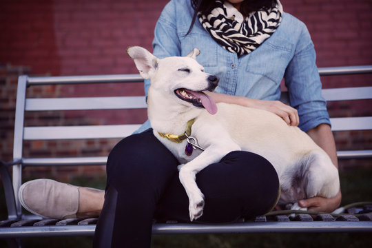 Woman sitting on bench with her dog
