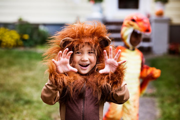 Obraz premium Portrait of boy in fancy dress costume on Halloween