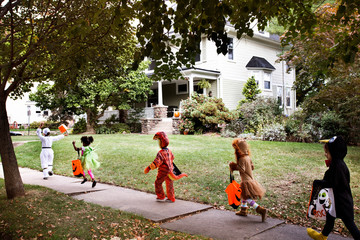 Obraz premium Children (2-3, 4-5) wearing costumes on halloween