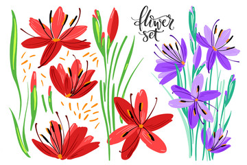 Vector collection of hand drawn plants. Botanical set of colorful doodle style flowers, leaves and branches.