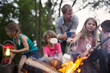 Naklejka premium Family with children (2-3, 4-5, 6-7, 8-9) roasting marshmallows