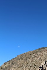 Slopes of the Little San Bernardino Mountains hosting indigenous botanical communities,  accented by a daytime moon, here, in Joshua Tree National Park, Southern Mojave Desert. Protect and conserve.