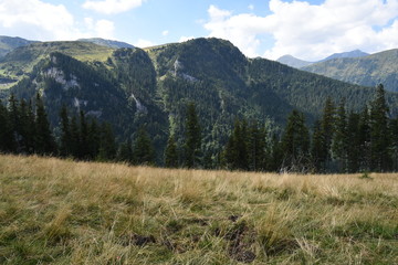Landscape with mountains and trees (Carpathian Mountains, Romania)