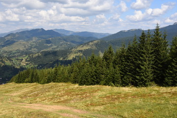 Landscape in the Carpathian Mountains (Romania)