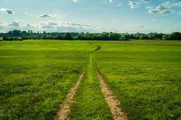 Fototapeta na wymiar Winding meadow dirt road - green nature scenery. Low angle.