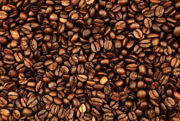 Coffee beans close-up