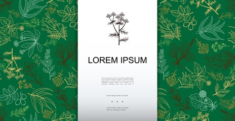 Hand Drawn Medical Herbs Green Background © K3Star