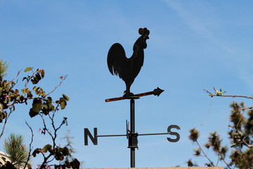 Blue sky, wind and black wind rooster in my garden