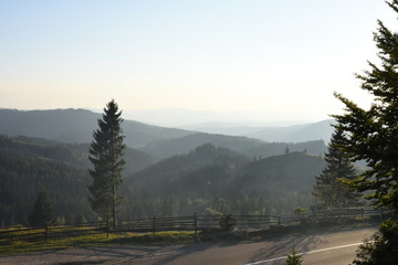 Morning in the mountains