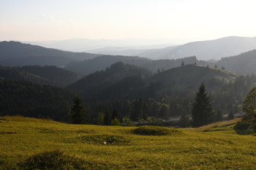 Morning hike in the Carpathian Mountains.