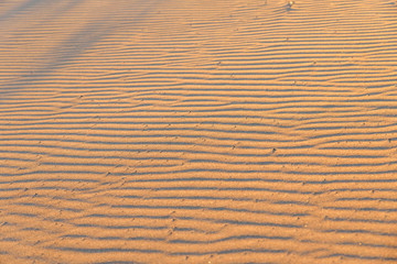 Dune on Beach at Sunset