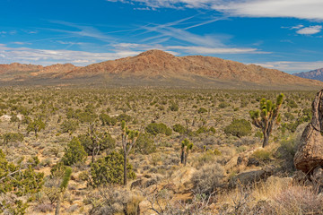 Desert Mountain Panorama in Early Spring