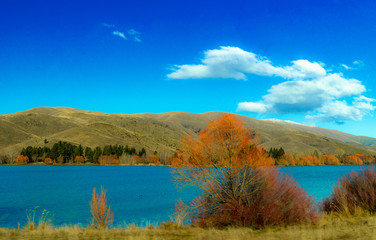 Obraz premium Lake, New Zealand