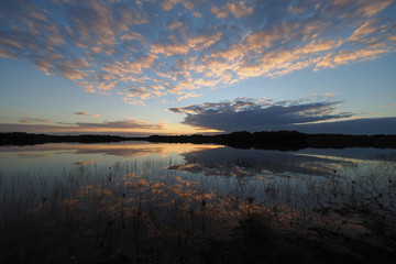 Sunrise and clouds reflected in the calm water of Nine Mile Pond in Everglades National Park, Florida.