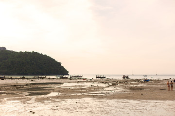 View from the beach on a green tropical island at low tide