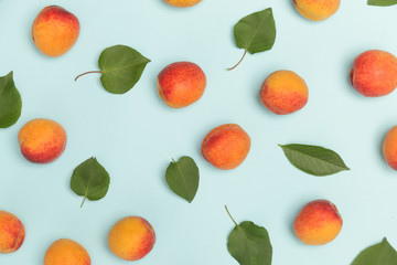 Apricots on a blue background, the flat lay image of ripe apricots and leaves
