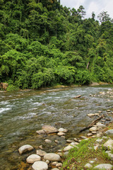 Bahorok River near Bukit Lawang in North Sumatra, Indonesia.
