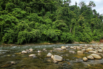 Bahorok River near Bukit Lawang in North Sumatra, Indonesia.