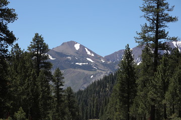 Obraz premium view of the mountains