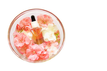 Group of skincare serum oil with little flowers in glass plate on white backdrop. Facial beauty cosmetic spa product. Natural cosmetology concept skin treatment. Dropper of essential oil, aromatherapy