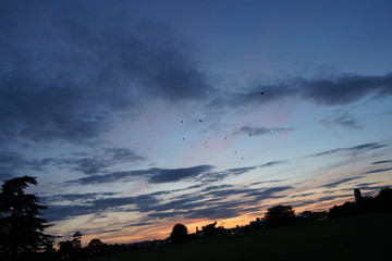 fresh green sunset landscape and blue sky with clouds