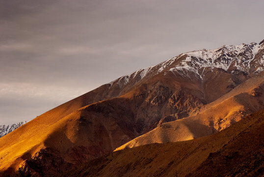 Pisco Elqui.