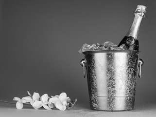 Champagne bottle in an ice bucket © BillionPhotos.com