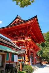 Fototapeta premium 上賀茂神社