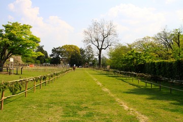 上賀茂神社