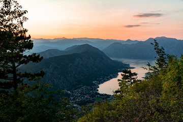 A view of kotor at sunset with bushes in the foreground