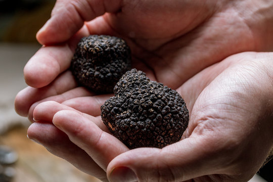 black truffle on mens hands