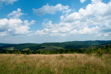 The evening is bright in the mountains in the summer with green forest