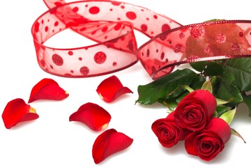 Red roses, petals and ribbon